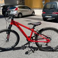 Bicicletta Bottecchia AL 060