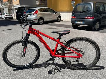 Bicicletta Bottecchia AL 060