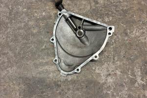 Carterino vespa 50 special