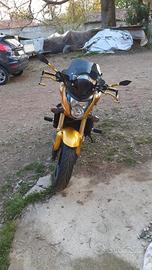 Honda Hornet 600