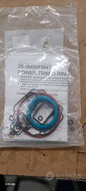 Kit guarnizioni rigenerazione trim Mercury