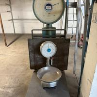 Bilancia ZENITH 300kg