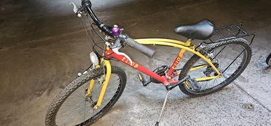 Bicicletta per ragazzi 