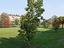 Immagine 20