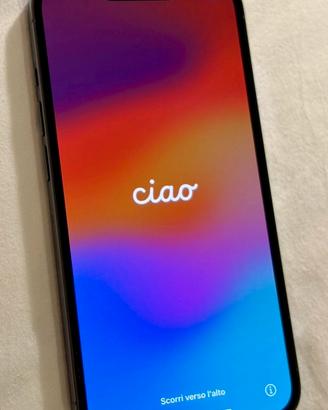 iphone 13 Pro 128gb  - PARI AL NUOVO -