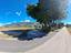 Immagine 12