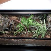 Terrario