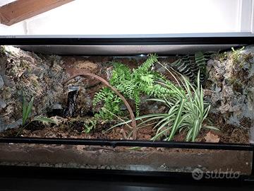 Terrario