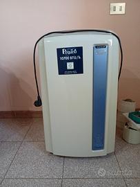 climatizzatore Pinguino