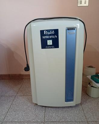 climatizzatore Pinguino