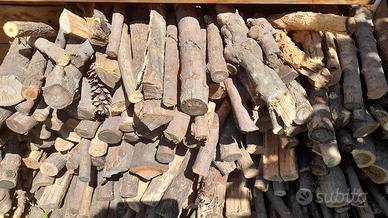 legna pronta da ardere acacia robinia barbecue