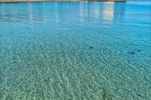 Casa vacanze centro storico di gallipoli