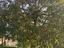 Immagine 29