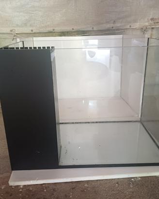 Vasca acquario marino e dolce