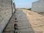 Immagine 14