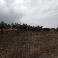 Vendita terreno