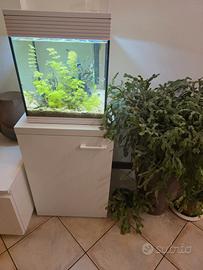 Acquario Askoll Pure M