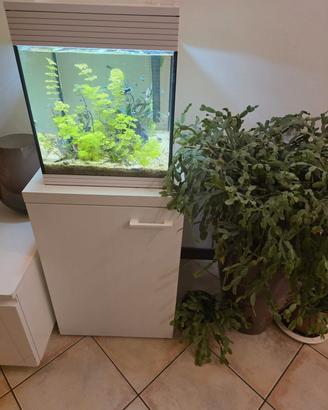 Acquario Askoll Pure M