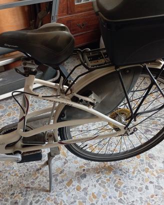 bicicletta elettrica 