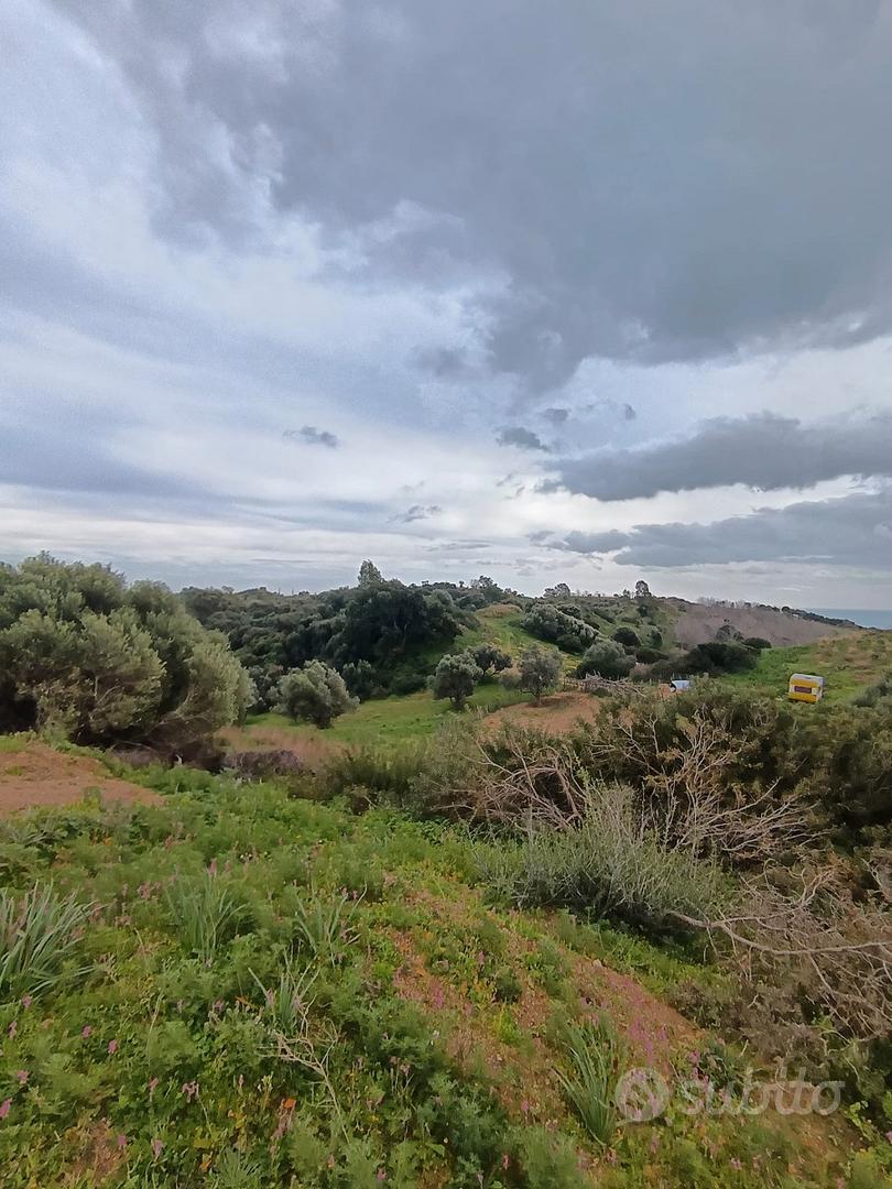 BARONE - Terreno agricolo - Vista 3