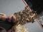 Immagine 4