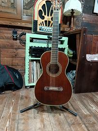 Washburn parlor r319 limited edition