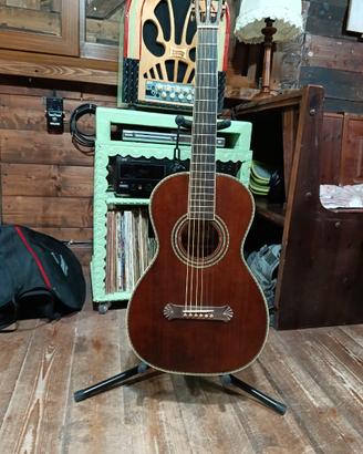 Washburn parlor r319 limited edition