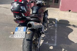 Honda hornet 600