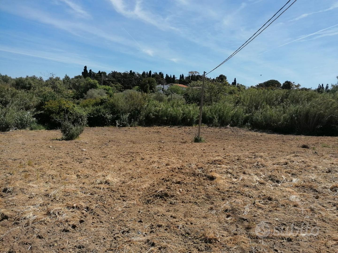 Terreno agro a Sorso - Vista 5