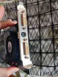 Rara Ati Sapphire Radeon X1950 GT 256mb agp 8x
