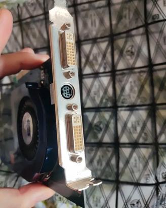 Rara Ati Sapphire Radeon X1950 GT 256mb agp 8x
