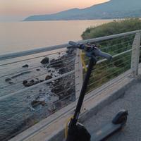 Monopattino ninebot G30 Max