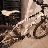 bici MTB uomo