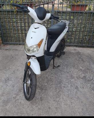 Motorino Bicicletta Elettrico
