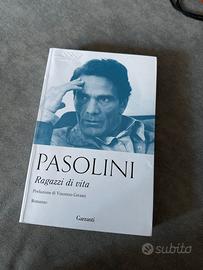 romanzo di pasolini