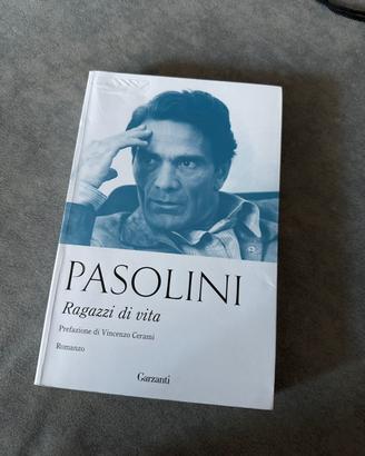 romanzo di pasolini