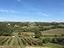 Immagine 25