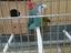 Immagine 2
