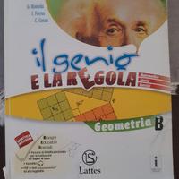 Il genio e la regola. Geometria B. vol 2