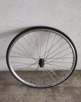 Ruota per rulli