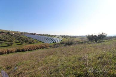 TER. AGRICOLO A GIULIANOVA