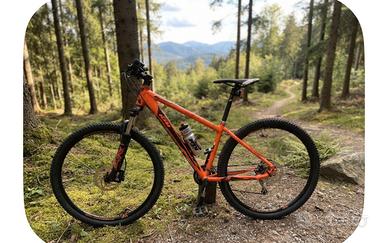 Mountain bike ktm