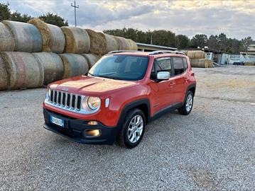 jeep renegate anno 2015