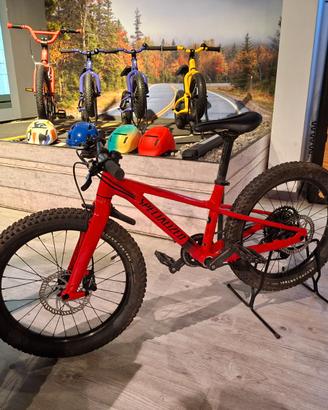 Mtb riprok 20