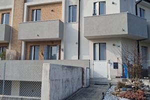 Porzione di testa a curtarolo