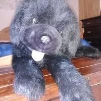 TERRANOVA PELUCHES