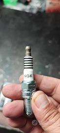 NGK ikr9j8 - ikr9h8 candele IRIDIO