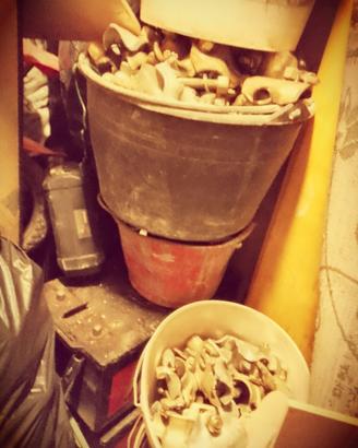 morsetti per tubi innocenti 