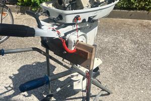 Motore evinrude