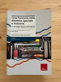 Cosa funziona nella didattica speciale e inclusiva